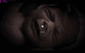 The Bunker | RePack  VickNet