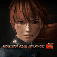   Dead or Alive 6 /    6 2019 