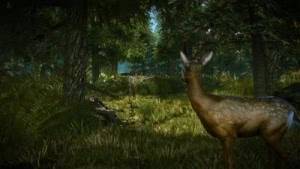  2:  .   / The Witcher 2: Assassins of Kings - Enhanced Edition