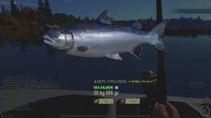 theFisher Online 