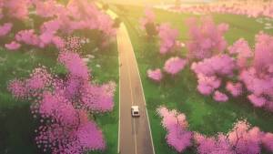  art of rally