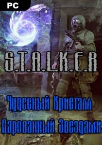  S.T.A.L.K.E.R.  ,   2021 