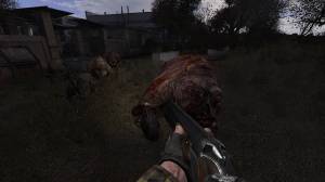  S.T.A.L.K.E.R. MLR addon 10