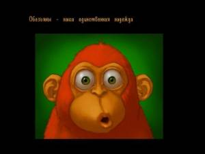 Monkey Brains 