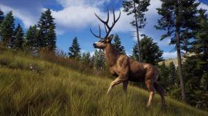 Way of the Hunter: Elite Edition