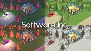   Software Inc. 2015 