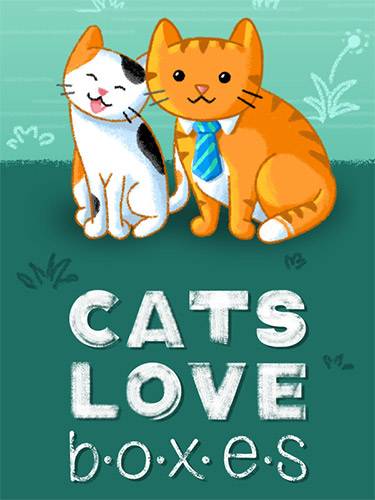   Cats Love Boxes 2024 