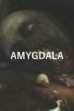   AMYGDALA 2024 