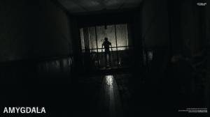 AMYGDALA