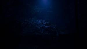 Blue Light