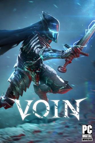   VOIN 2024 