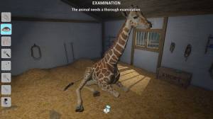 My Life: Zoo Vet