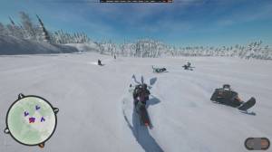 Sledders