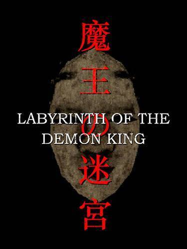   Labyrinth of the Demon King 2025 